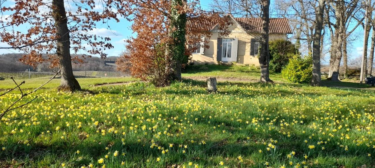 Saint-Genès-de-Castillon Moulin De Bigorre 빌라 외부 사진