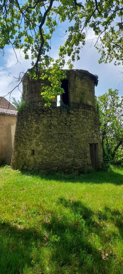 Saint-Genès-de-Castillon Moulin De Bigorre 빌라 외부 사진